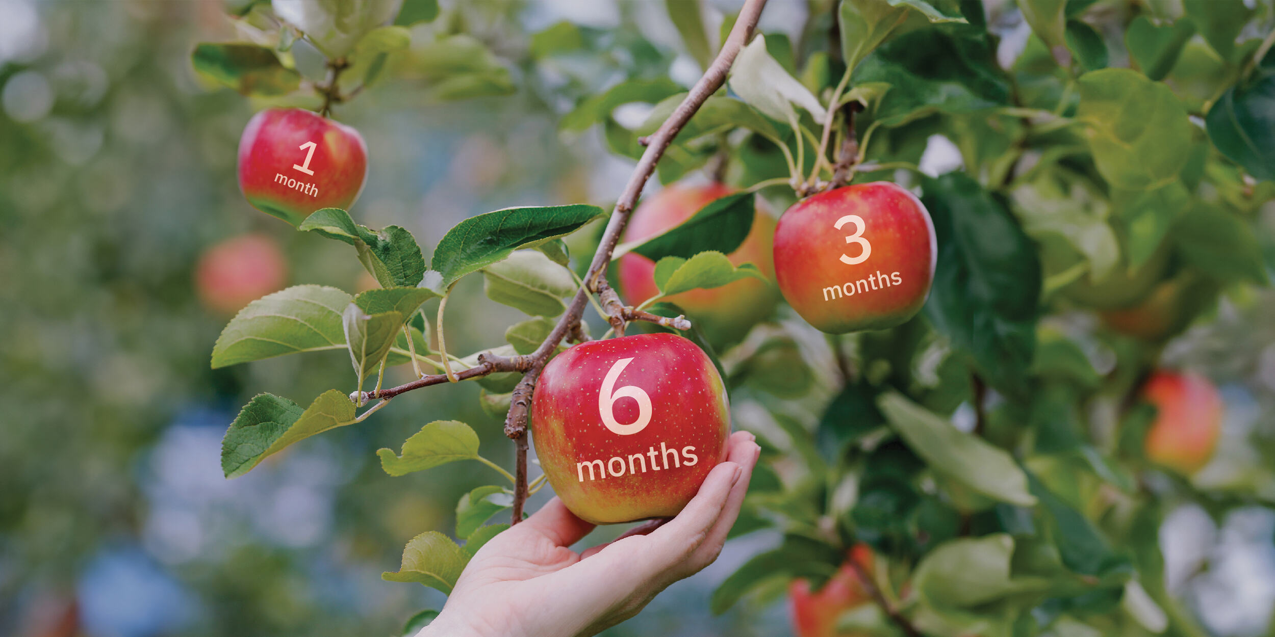 RegulaReturns Deposit