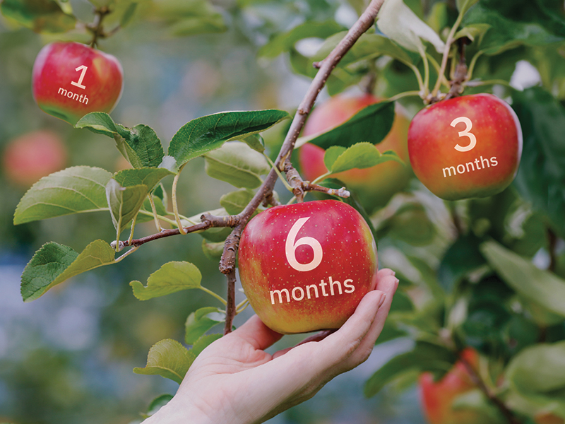 RegulaReturns Deposit