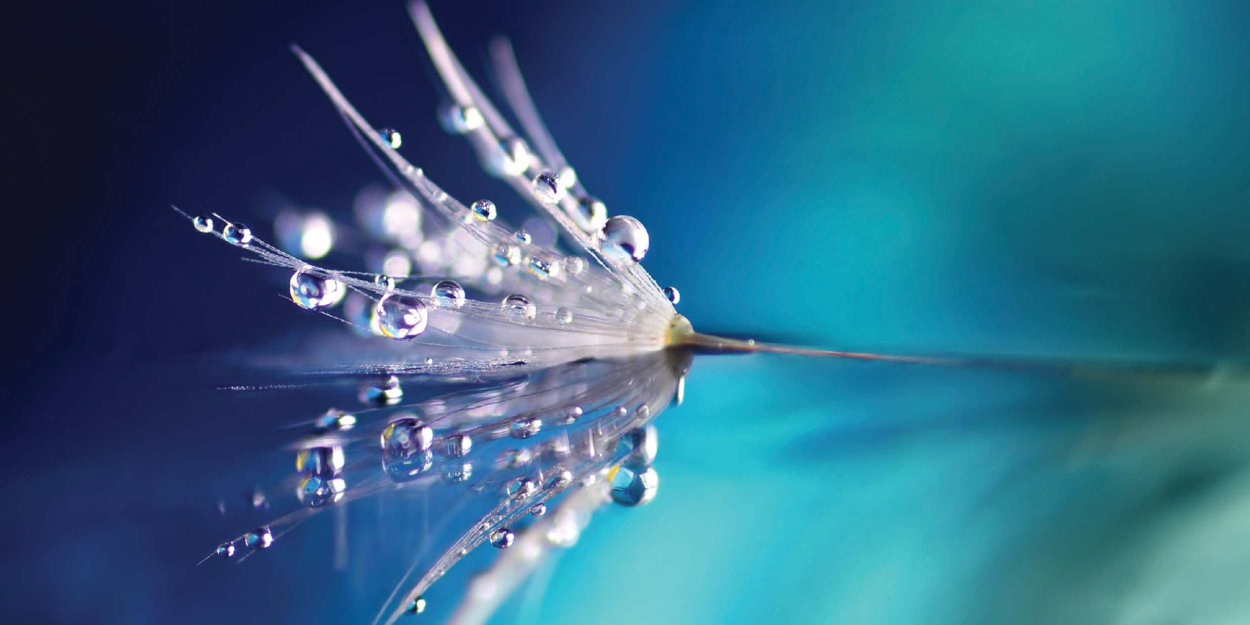 PromocardWithHighlights  2023 Global Investment Outlook midyear update