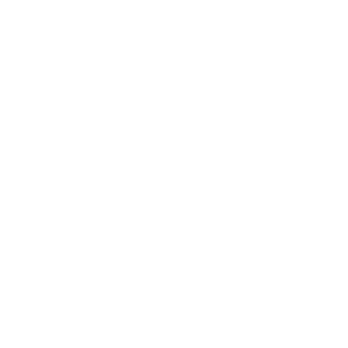 etihad-guest-miles-white_icon