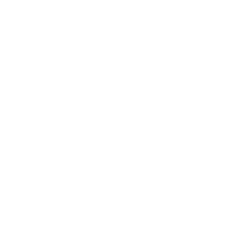 Sivvi