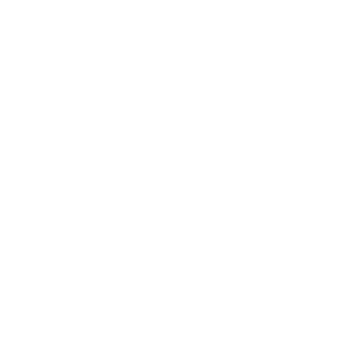 Airport transfers