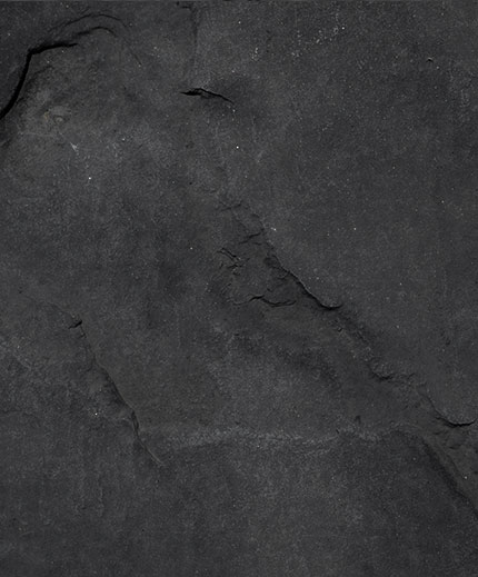 تشمل مجموعتنا الأساسية من حلول إدارة الثروات التي نقدمها